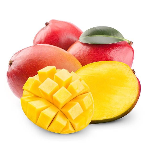 Osteen Mango Fidanı