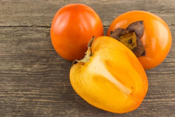 Rojo Brillante Hurma Fidanı - Açık Köklü