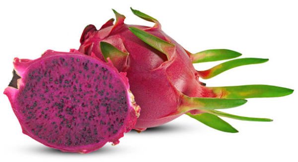 Pitaya Ejder Meyvesi Fidanı - Tüplü Kırmızı Renkli