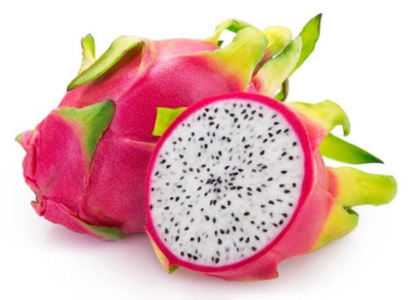 Pitaya Ejder Meyvesi Fidanı - Tüplü Beyaz Renkli