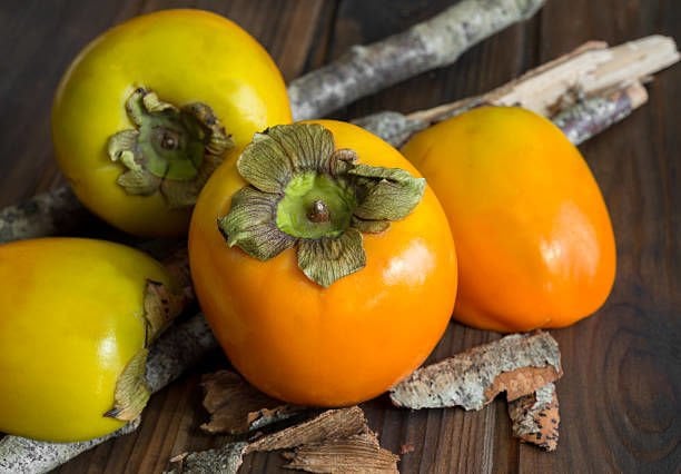 Hachiya Hurma Fidanı - Açık Köklü, Aşılı ve Sertifikalı