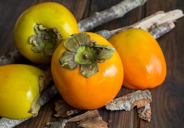 Hachiya Hurma Fidanı - Açık Köklü, Aşılı ve Sertifikalı