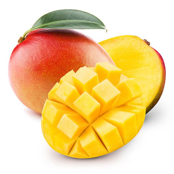 Keitt Mango Fidanı