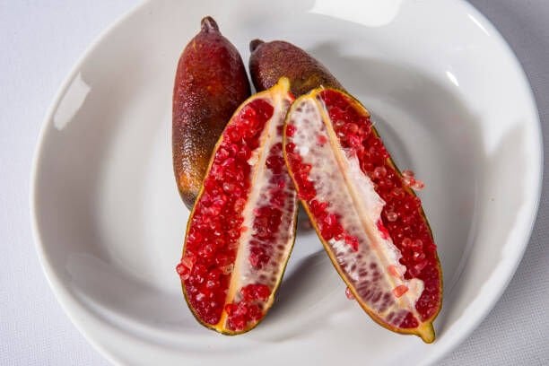 Tüplü Havyar Limon kırmızı Finger Lime Fidanı