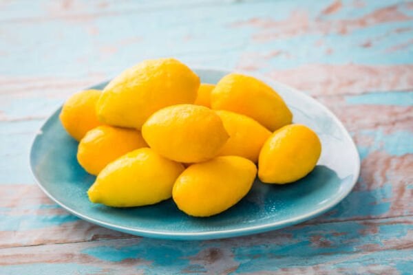 Tüplü Limequat Fidanı
