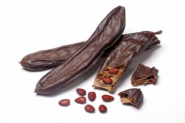 Tüplü Kıbrıs Aşısı Ballı Aşılı Keçi Boynuzu (Harnup) Fidanı
