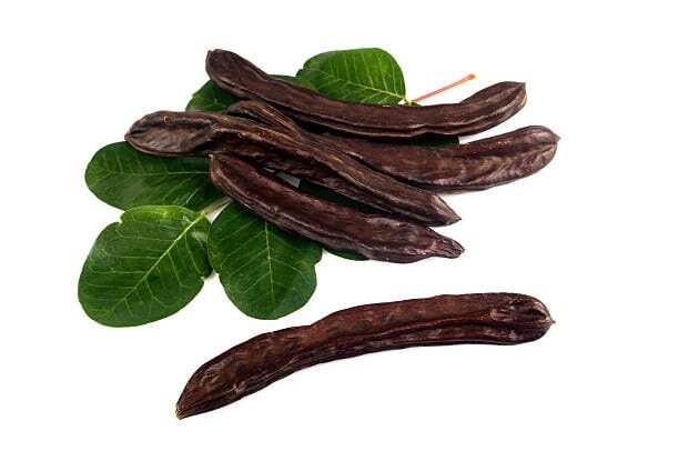 Tüplü Kıbrıs Aşısı Ballı Aşılı Keçi Boynuzu (Harnup) Fidanı