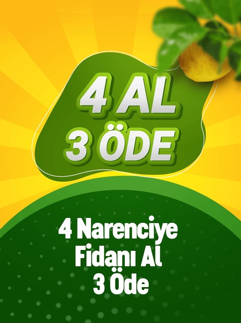 Alt Etiket
